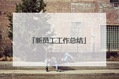新员工工作总结