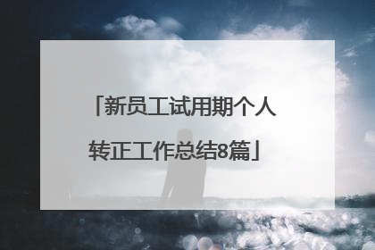 新员工试用期个人转正工作总结8篇