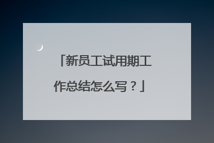 新员工试用期工作总结怎么写?