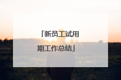 新员工试用期工作总结