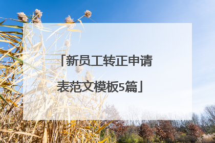 新员工转正申请表范文模板5篇