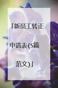 新员工转正申请表(5篇范文)