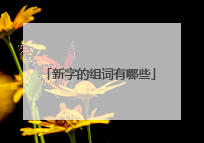 新字的组词有哪些