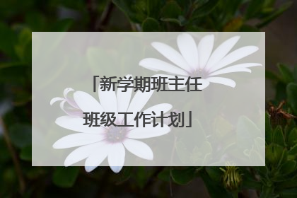 新学期班主任班级工作计划
