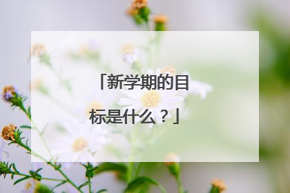 新学期的目标是什么?