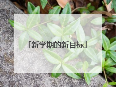 新学期的新目标