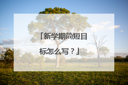 新学期简短目标怎么写?