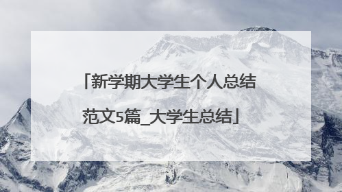 新学期大学生个人总结范文5篇_大学生总结