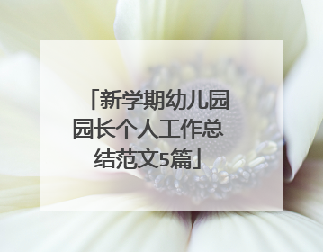 新学期幼儿园园长个人工作总结范文5篇