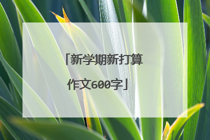 新学期新打算作文600字