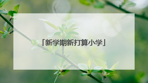 新学期新打算小学