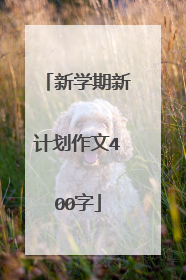 新学期新计划作文400字
