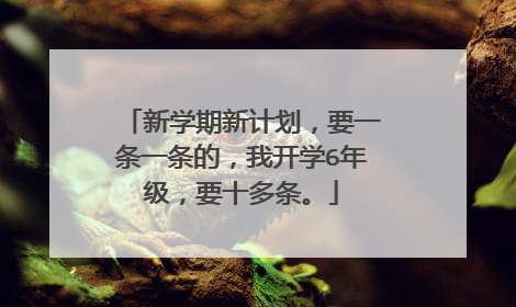 新学期新计划，要一条一条的，我开学6年级，要十多条。