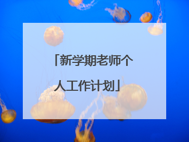 新学期老师个人工作计划