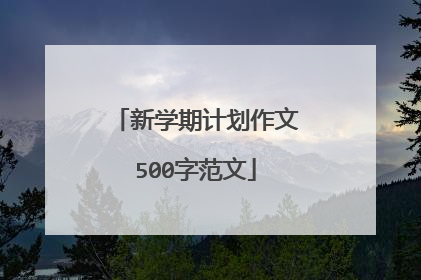 新学期计划作文500字范文