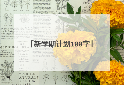 新学期计划100字
