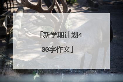 新学期计划400字作文