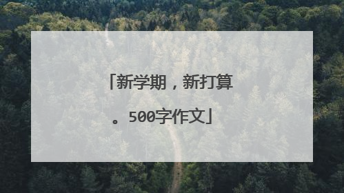新学期，新打算。500字作文