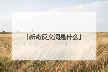 新奇反义词是什么
