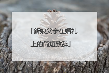 新娘父亲在婚礼上的简短致辞