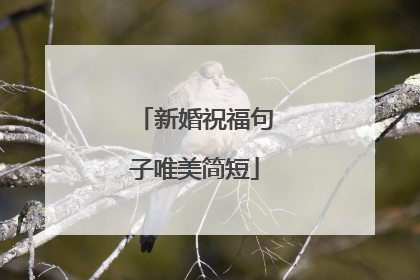 新婚祝福句子唯美简短
