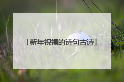新年祝福的诗句古诗