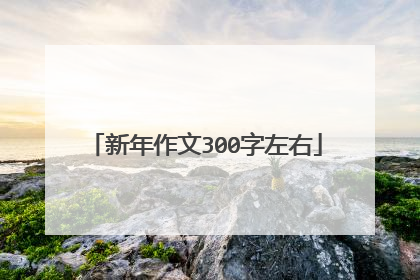 新年作文300字左右