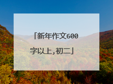 新年作文600字以上,初二