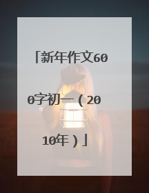 新年作文600字初一(2010年)