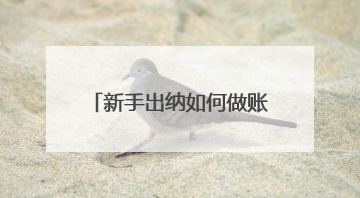 新手出纳如何做账,都用什么表格