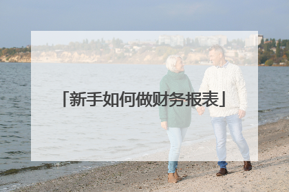 新手如何做财务报表