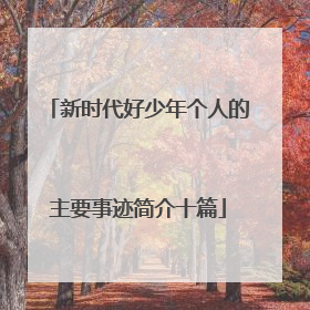 新时代好少年个人的主要事迹简介十篇