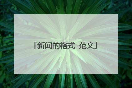 新闻的格式 范文