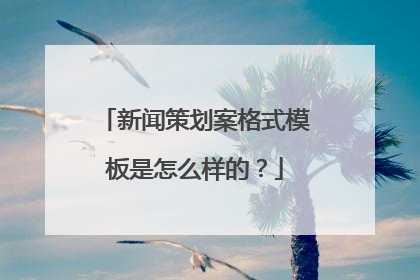 新闻策划案格式模板是怎么样的?