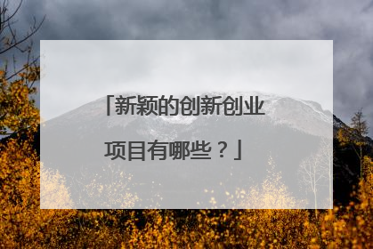 新颖的创新创业项目有哪些?