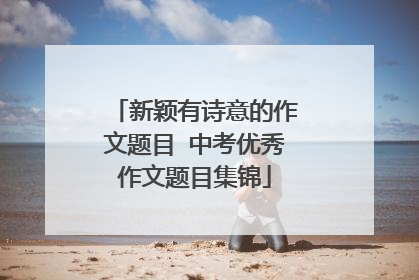 新颖有诗意的作文题目 中考优秀作文题目集锦