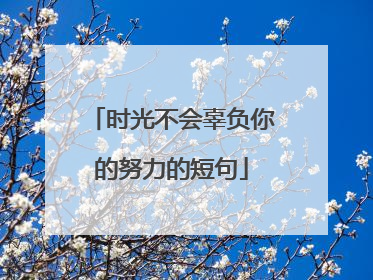 时光不会辜负你的努力的短句