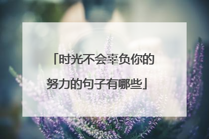 时光不会辜负你的努力的句子有哪些