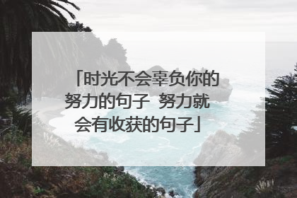 时光不会辜负你的努力的句子 努力就会有收获的句子