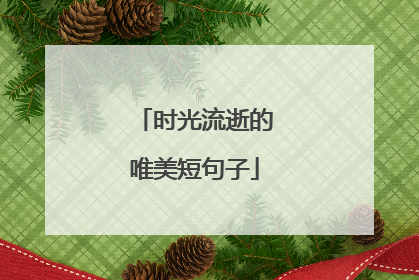 时光流逝的唯美短句子