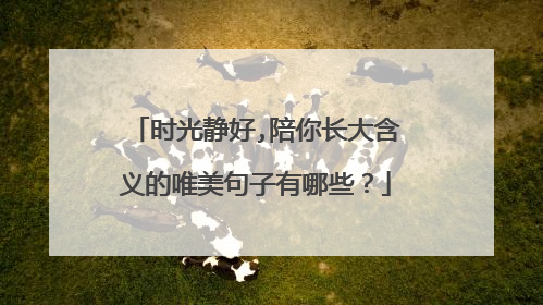 时光静好,陪你长大含义的唯美句子有哪些？