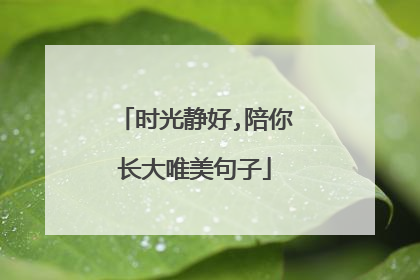 时光静好,陪你长大唯美句子