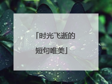 时光飞逝的短句唯美
