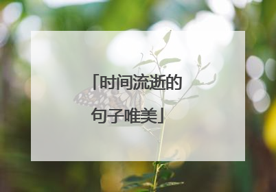 时间流逝的句子唯美