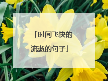 时间飞快的流逝的句子