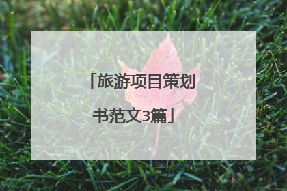 旅游项目策划书范文3篇