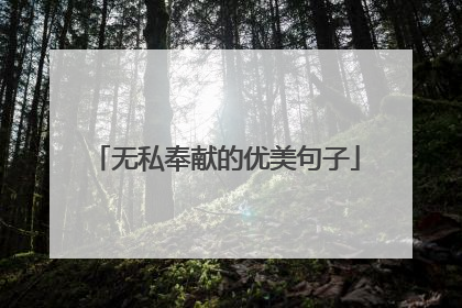 无私奉献的优美句子