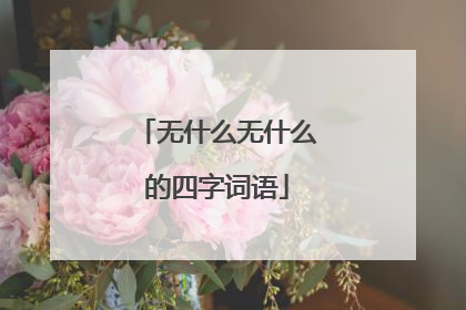 无什么无什么的四字词语