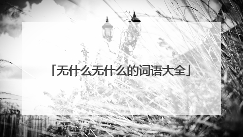 无什么无什么的词语大全