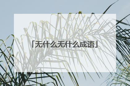 无什么无什么成语